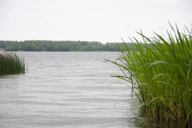 Kıyıdan Volga nehrinin manzarası