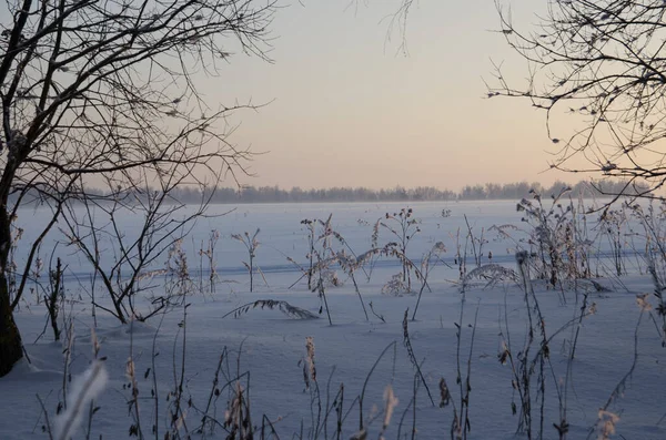 Χειμερινό Τοπίο Παγωμένη Ηλιόλουστη Μέρα — Φωτογραφία Αρχείου