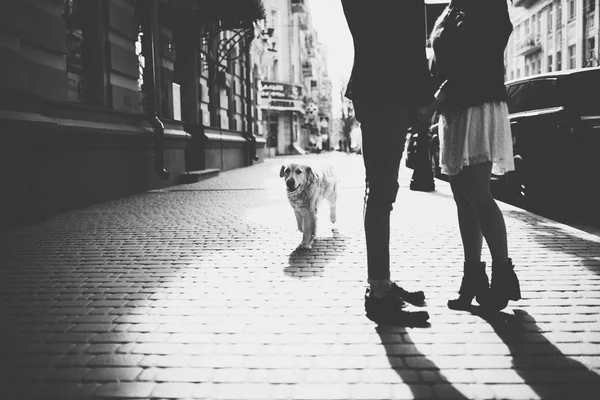 Couple debout ensemble et tenant la main — Photo