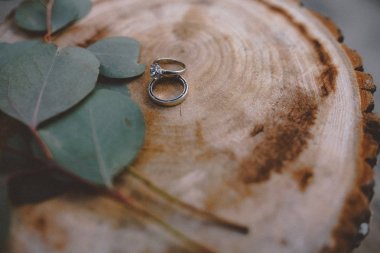 Ahşap üzerinde iki alyans