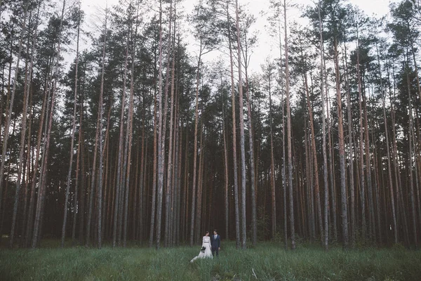Małżeństwo Pozowanie Polanie Leśnej — Zdjęcie stockowe