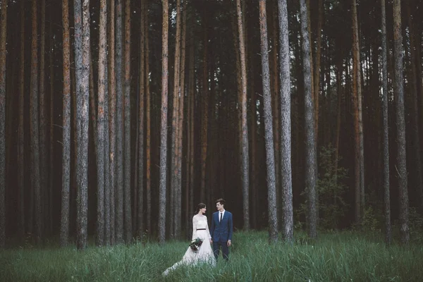 Couple Marié Posant Sur Pré Forestier — Photo