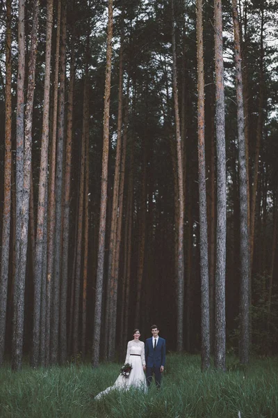 Couple Marié Posant Sur Pré Forestier — Photo