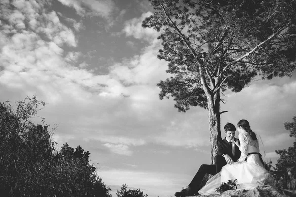 Ehepaar Sitzt Wald — Stockfoto
