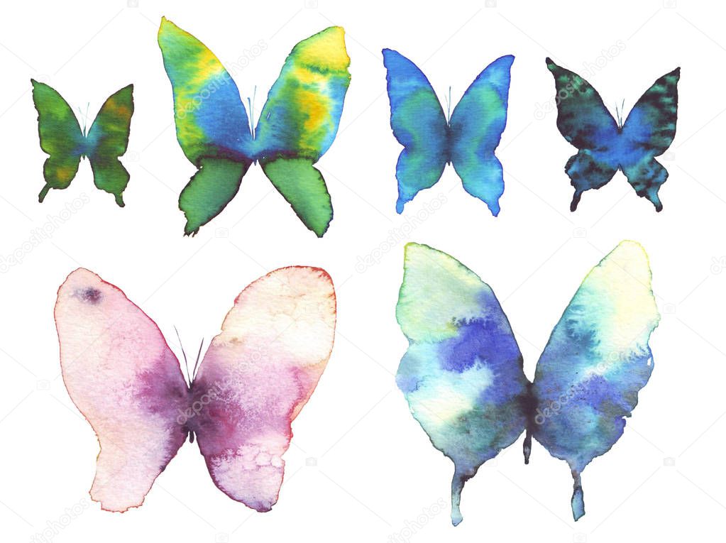 butterfly watercolor illustration set
