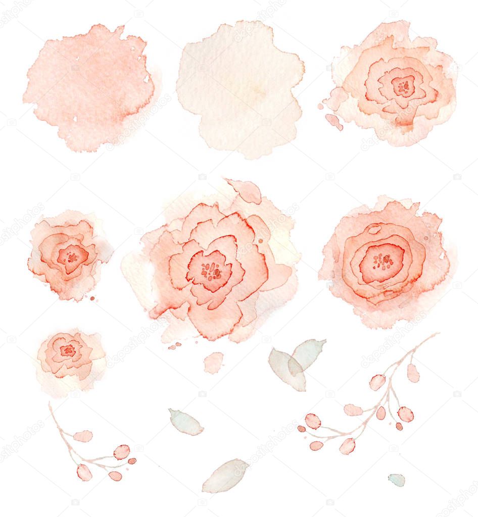   roses flowers watercolor set