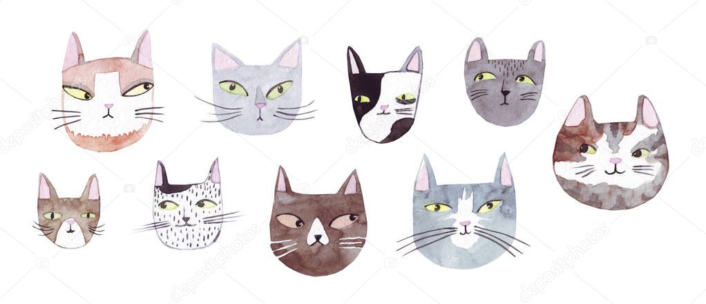 Cute cats collection on white background. Colorful graphic cats, poster design. Watercolor hand drawn illustration. Painted backdrop. Cloth pattern. Cat, kitten, head.