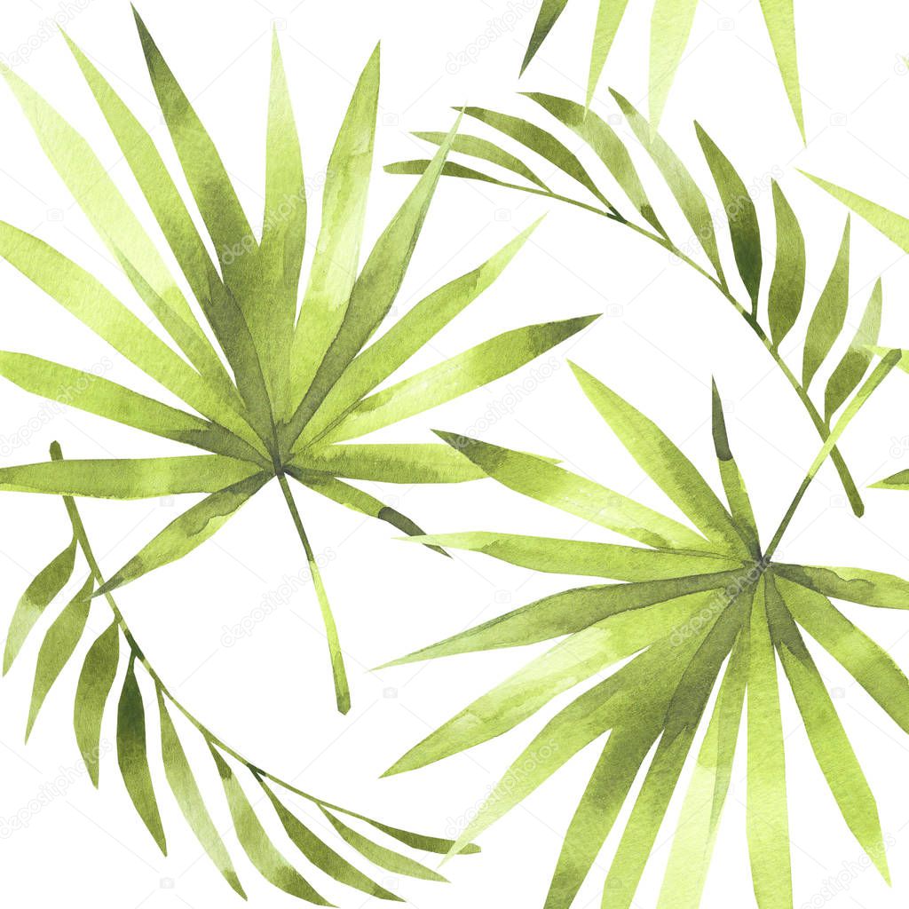 Floral summer tropical green palm leaves, coconut seamless pattern white background. Exotic prints for wallpaper,textile Hawaii aloha jungle style pattern. Watercolor illustration. 