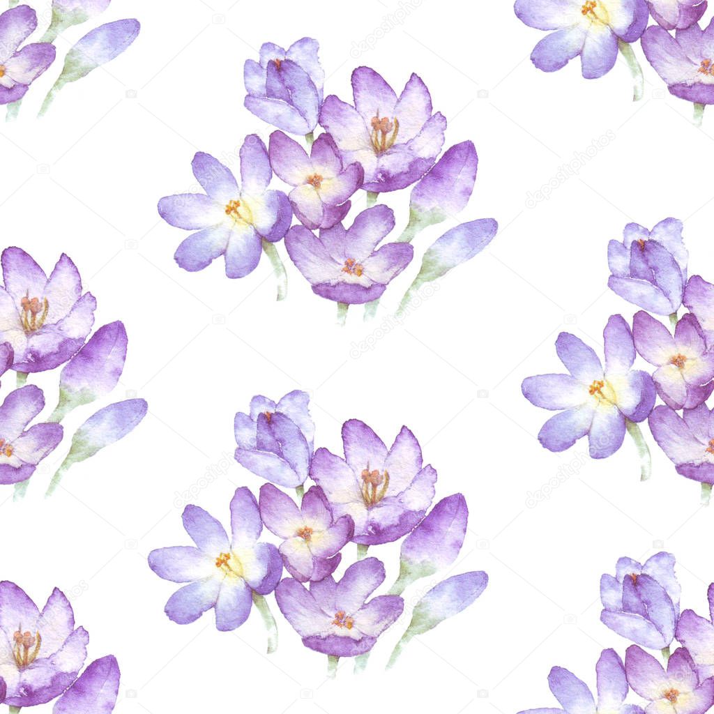 Cute watercolor print of purple crocuses. Hand drawn illustration. Seamless pattern, print for fabric, wrapping paper. Spring watercolor flowers. 