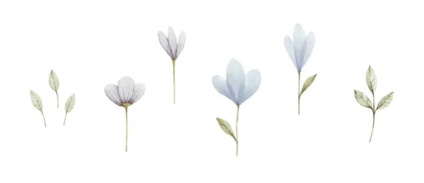 4つの花の手描きの青い水彩セット 招待状 結婚式やグリーティングカードのデザインの要素として花を使用することができます — ストック写真