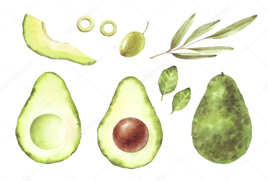 Green watercolor set of vegetables isolated on white background. Hand drawn sliced avocado, seasonal greens, olive. Perfect for healthy organic food, cooking design. Top and side view.