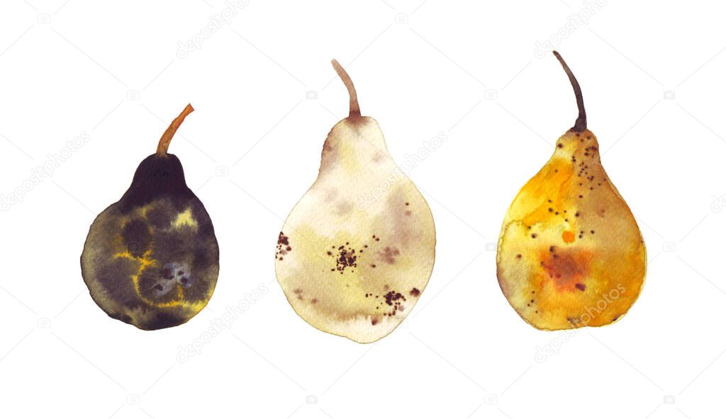 Botanical watercolor illustration set yellow pear fruits. Ripe juicy isolated hand painted, fresh exotic food golden yellow green for food label design.