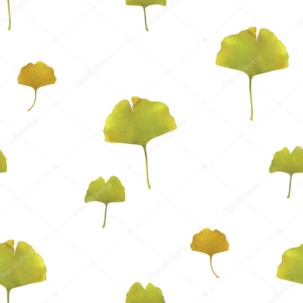 Ginko biloba watercolor seamless pattern. Hand drawn summer spring. White composition card  plants. Floral green leaves on a white background.