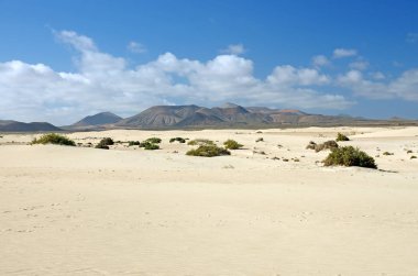 Çöl Fuerteventura alanında Corallejo
