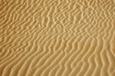 Altın çöl kum doku