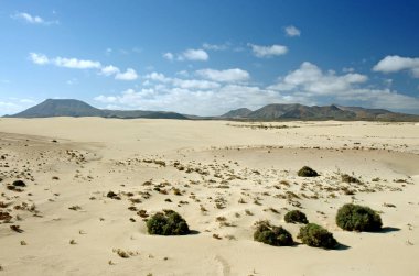 Çöl Fuerteventura alanında Corallejo