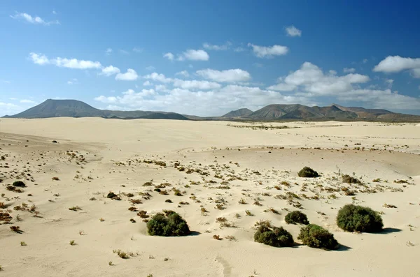 Désert de Fuerteventura dans la région Corallejo — Photo