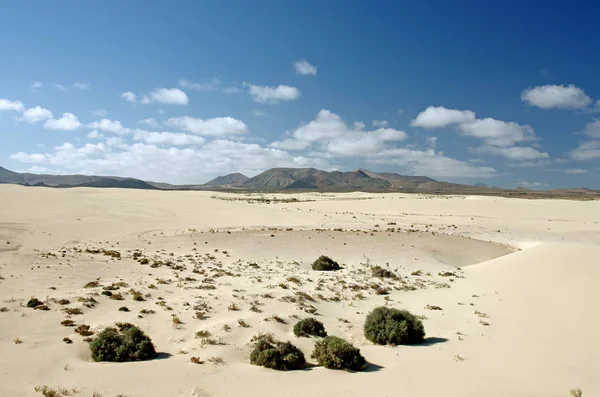 Desert of Fuerteventura in area Corallejo — Stock Photo, Image