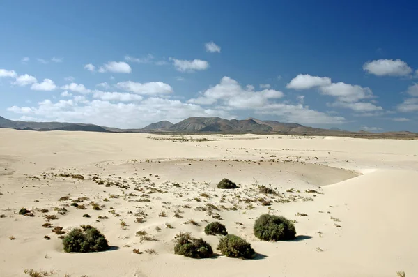 Pouštní Fuerteventura v oblasti Corallejo — Stock fotografie