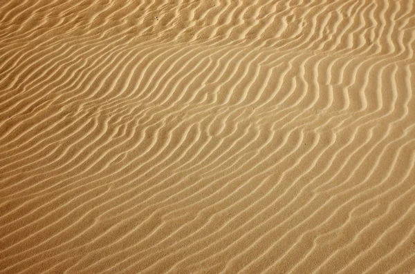 Gold desert Sand texture — Stock Photo, Image