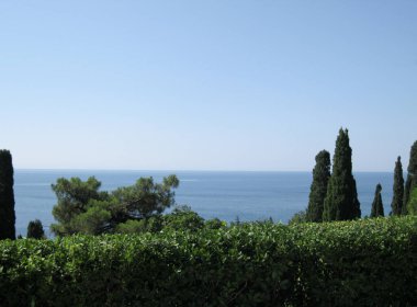 Güzel manzara - deniz kıyısındaki yeşil ağaçlar.