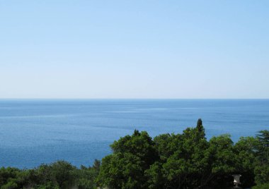 Güzel manzara - deniz kıyısındaki yeşil ağaçlar.