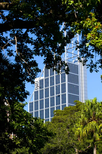 Ağacın arkasına bina