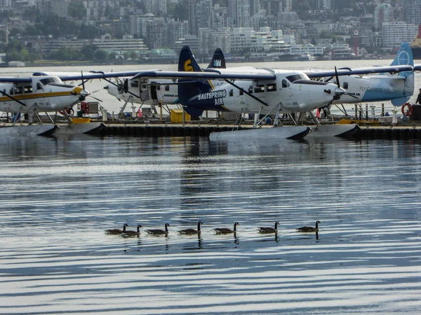 Vancouver görünümü