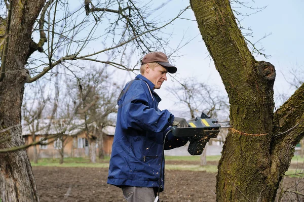 Man cutting a withered tree. Royalty Free Stock Images