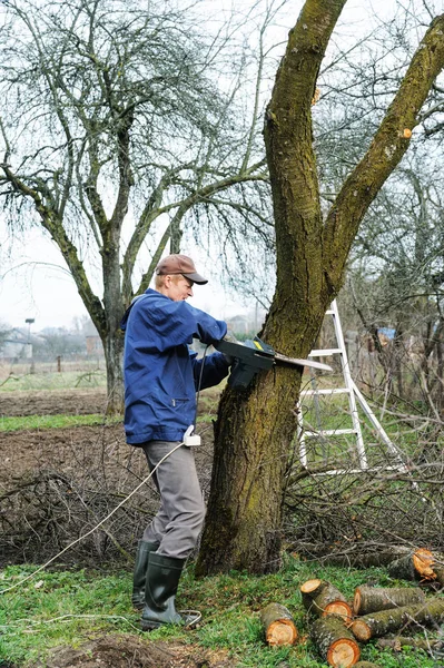 Man cutting a withered tree.