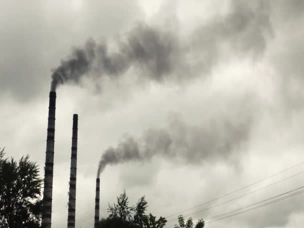 Tubos de la central térmica . — Vídeos de Stock