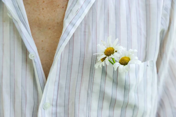 在衬衫口袋里的雏菊. — 图库照片