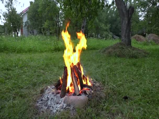 정원에서 모닥불. — 비디오