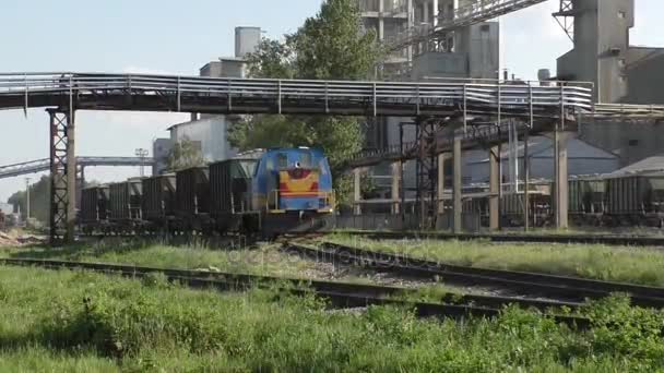 Проходят грузовые поезда . — стоковое видео