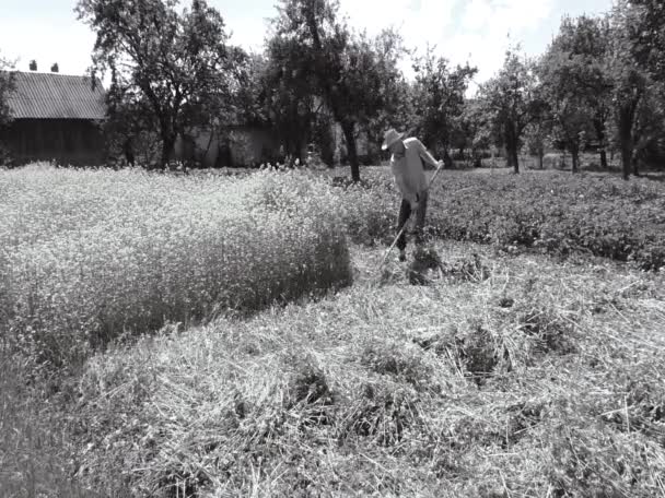 L'uomo sta falciando con lo sputo . — Video Stock