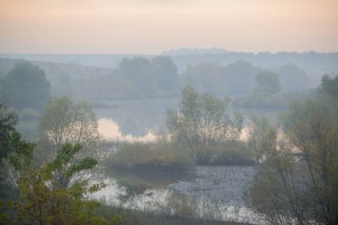 kalın sabah sis orman gizler