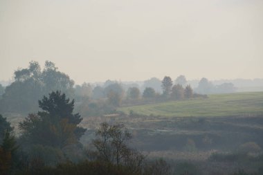 kalın sabah sis orman gizler