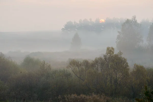 Красивый туманный пейзаж — стоковое фото