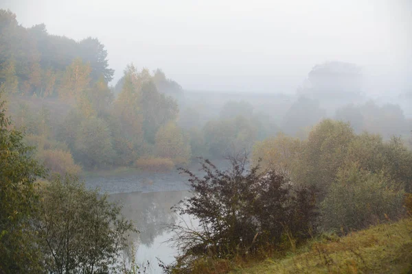 Waldstraße im Morgennebel — Stockfoto