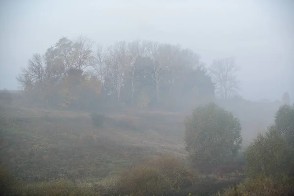 Espesa niebla matutina oculta el bosque — Foto de Stock