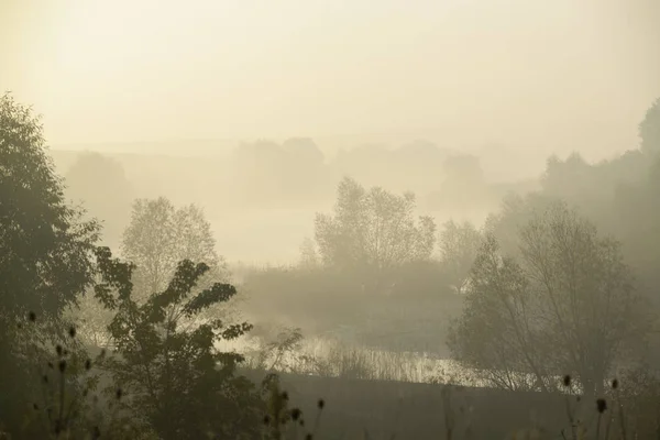 Красивый туманный пейзаж — стоковое фото
