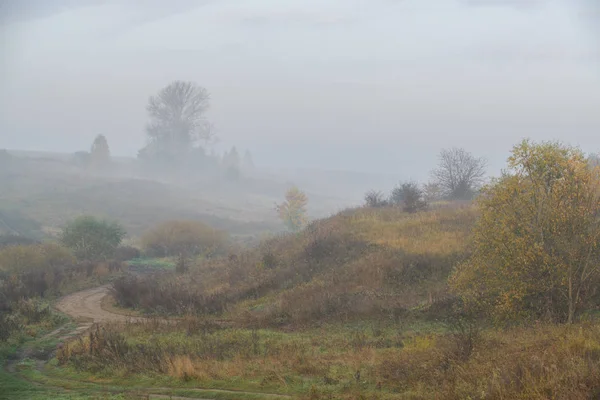 Erdei úton a reggeli köd — Stock Fotó