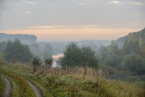 Drogi leśne w rannej mgle — Zdjęcie stockowe