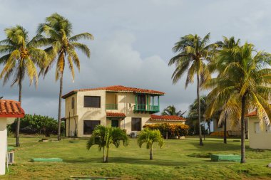 Palmiye ağacı, Küba'nın güzel manzaralarını