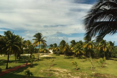 Palmiye ağaçları yeşil çim ve mavi. Varadero, Küba