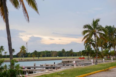 güzel Küba plaj Varadero ağaçta