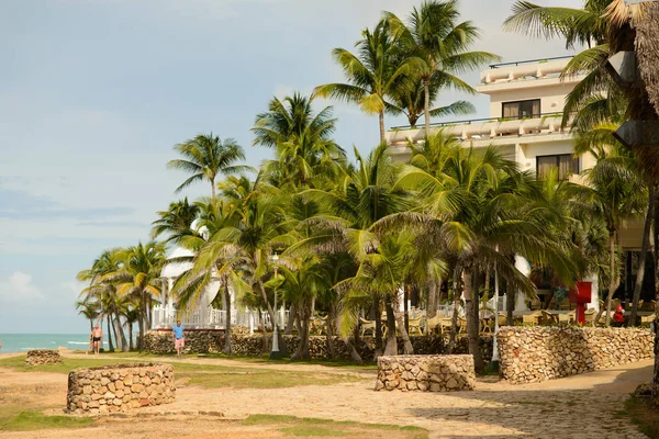 树上美丽的古巴巴拉德罗海滩 — 图库照片