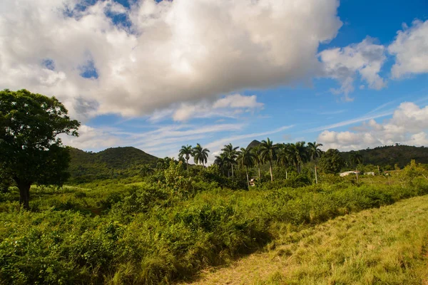 La vue est magnifique paysage de collines verdoyantes à Cuba — Photo
