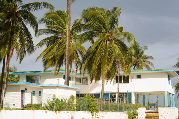 Arbres sur la belle plage cubaine de Varadero — Photo