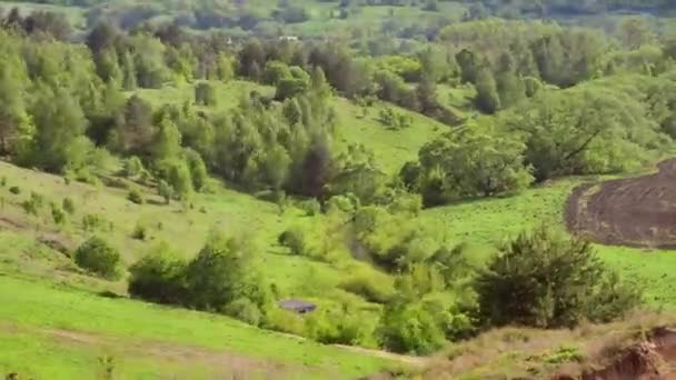 Summer ravine, clouds running background time lapse 4K. — Stock Video